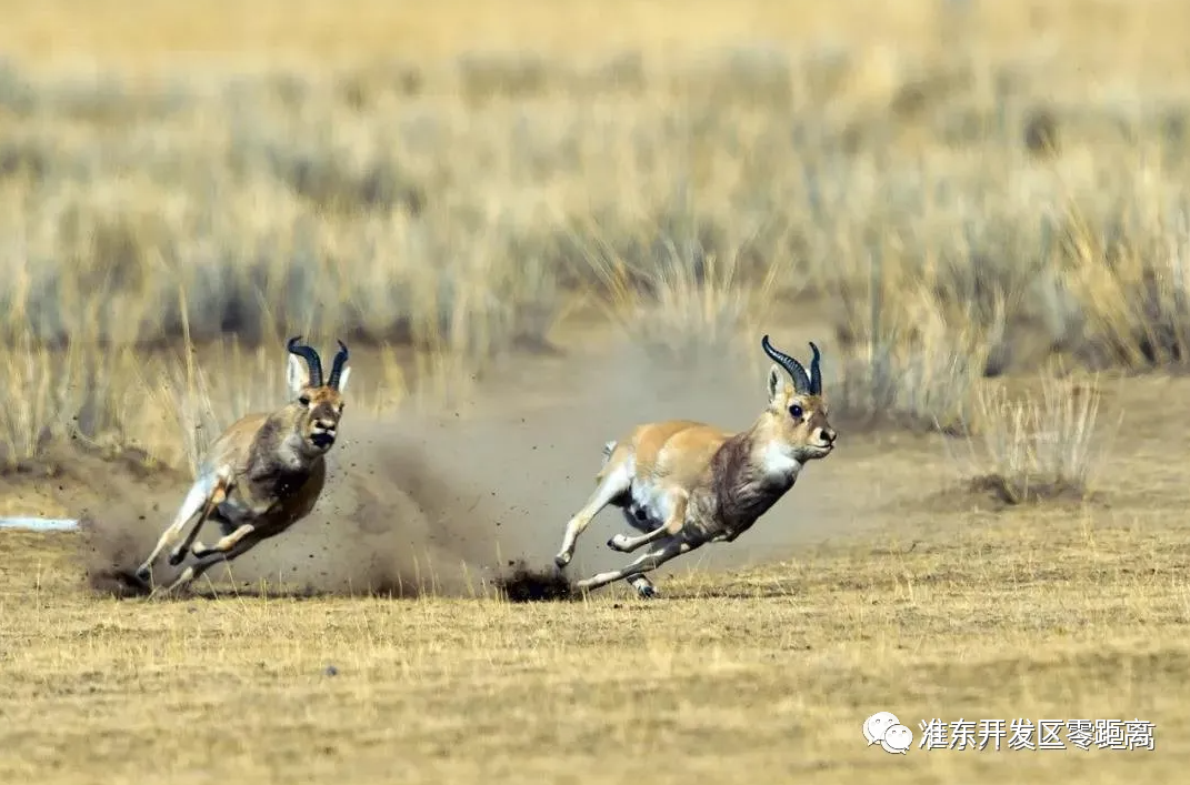 微信图片_20201117233434.png