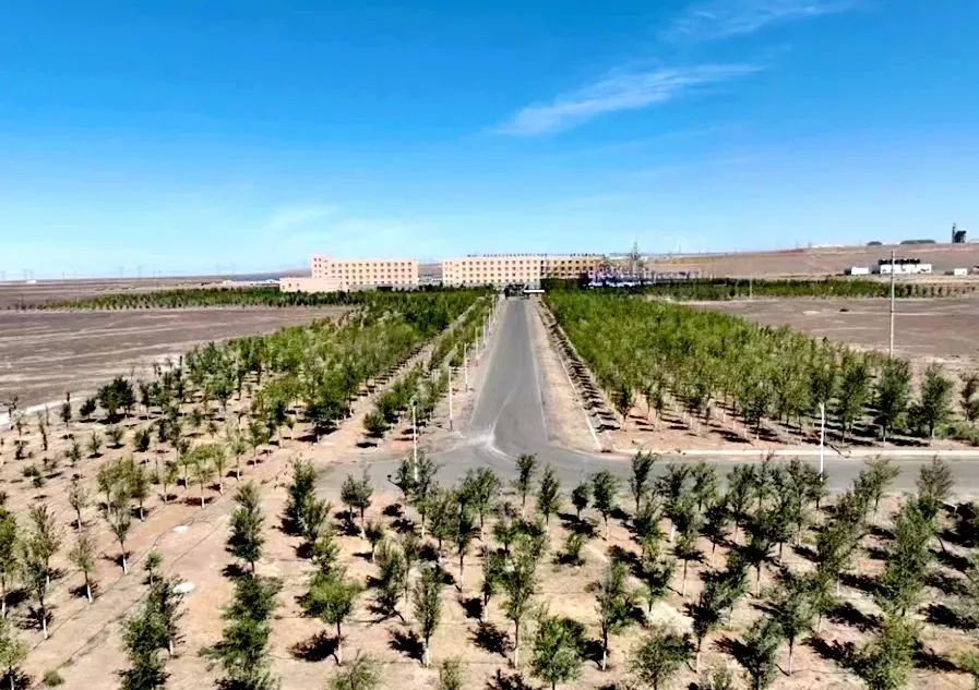 准东开发区两家企业分获杰出贡献奖绿色矿山突出奖